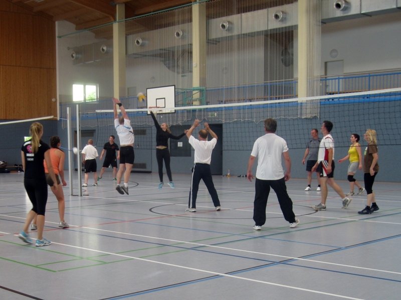 Sommerfest/Volleyballturnier 2013