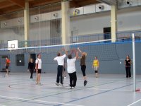 Sommerfest/Volleyballturnier 2013