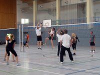 Sommerfest/Volleyballturnier 2013