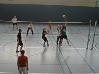 Sommerfest/Volleyballturnier 2013