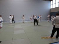 Vereinslehrgang Ju-Jutsu/Judo